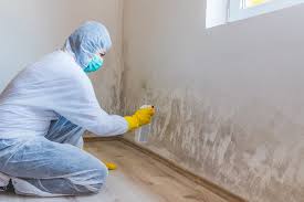 Why You Should Choose Our Mold Remediation Services in Hebron, PA