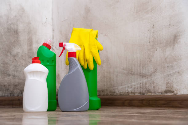 Best Mold Prevention Services  in Hebron, PA